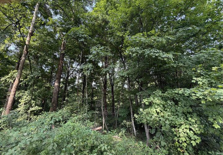 Property Photo:  00 St Rd 257 Highway  IN 47590 