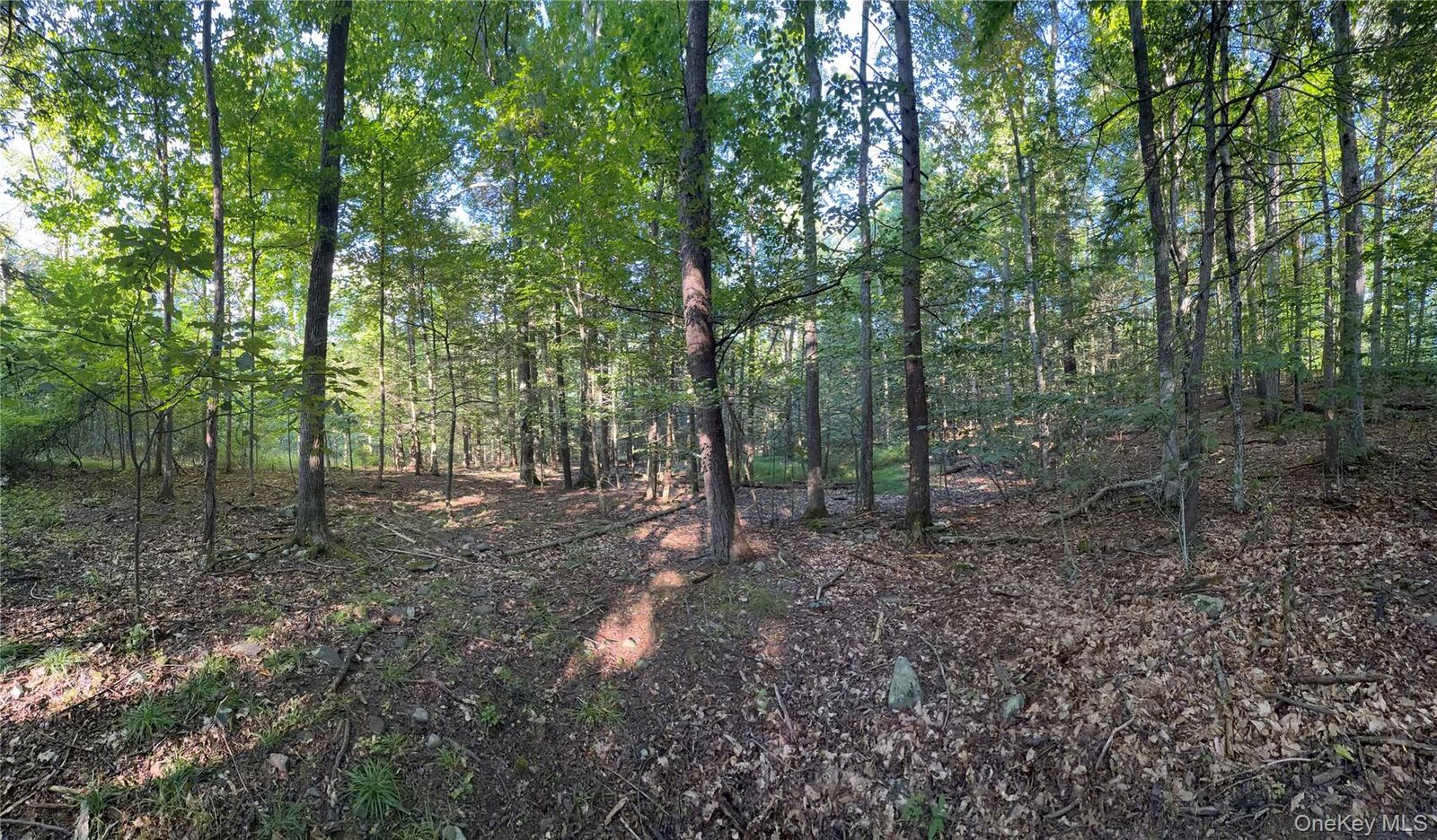 Property Photo:  Hidden Court  NY 12457 