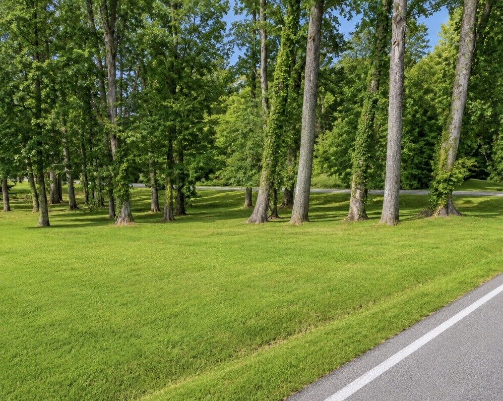 Property Photo: 19 Boyd Ave TN 37110