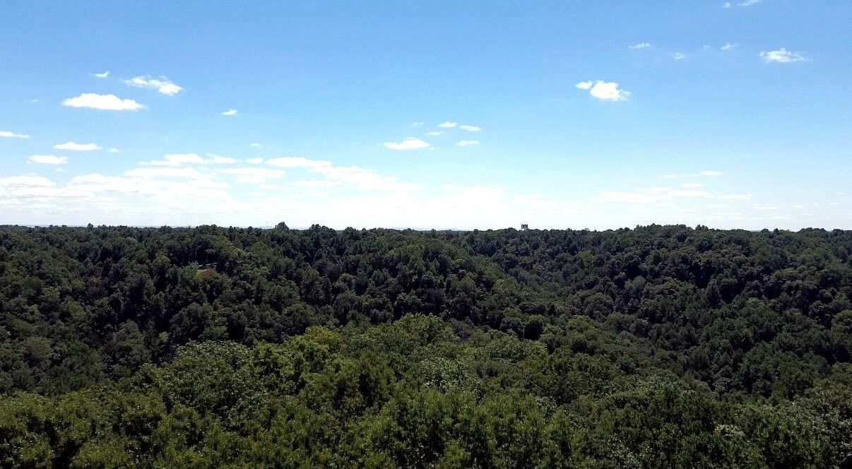 Property Photo:  0 Tennis Center Dr  TN 37166 