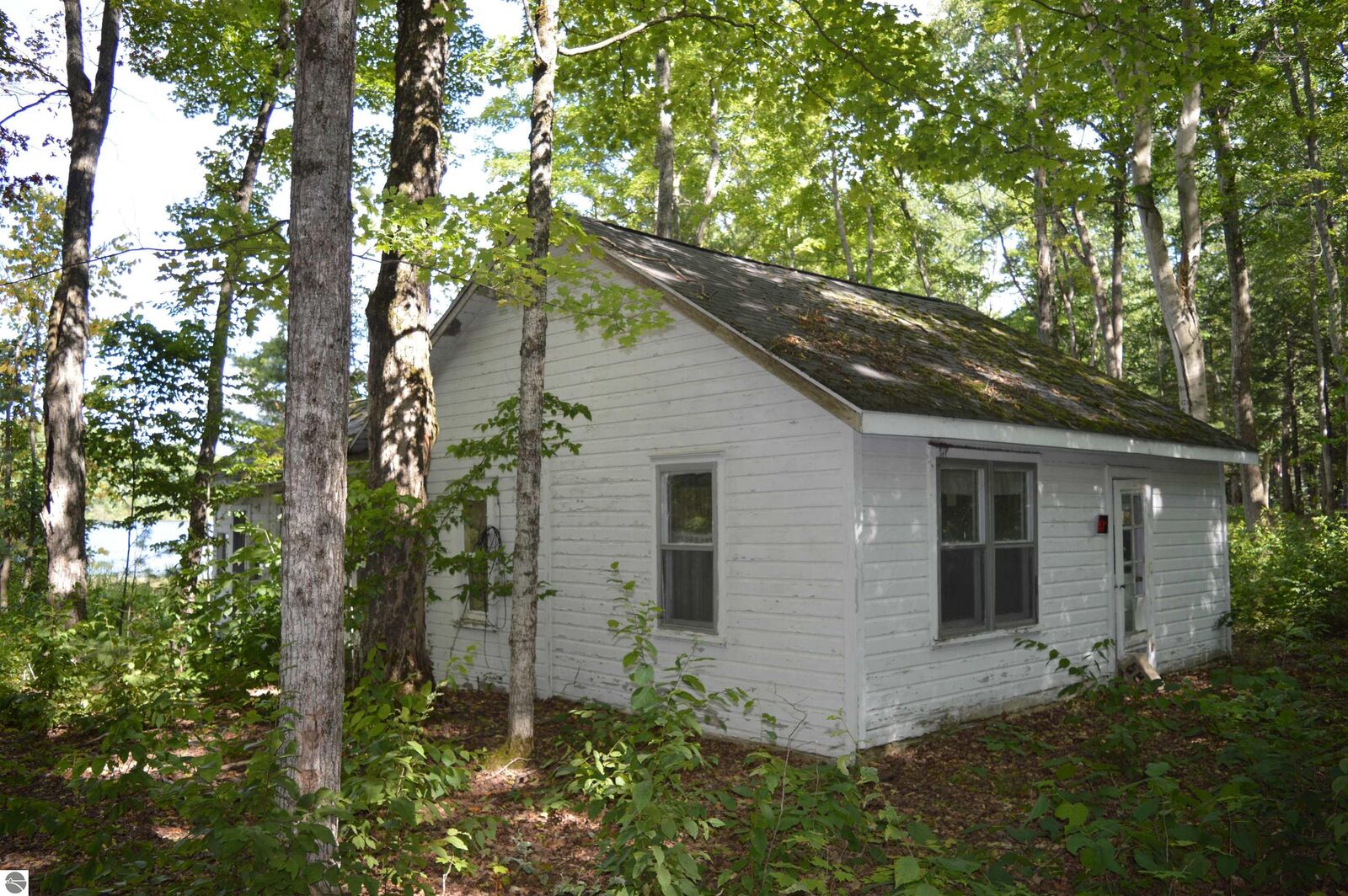 Property Photo: 3035 NE Lincoln Drive MI 49646