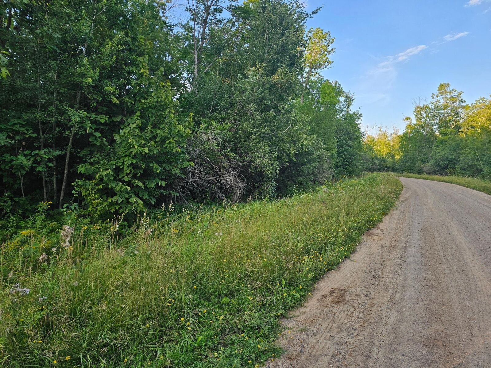 Property Photo:  Lot 3 Woodlands Road  MN 56431 