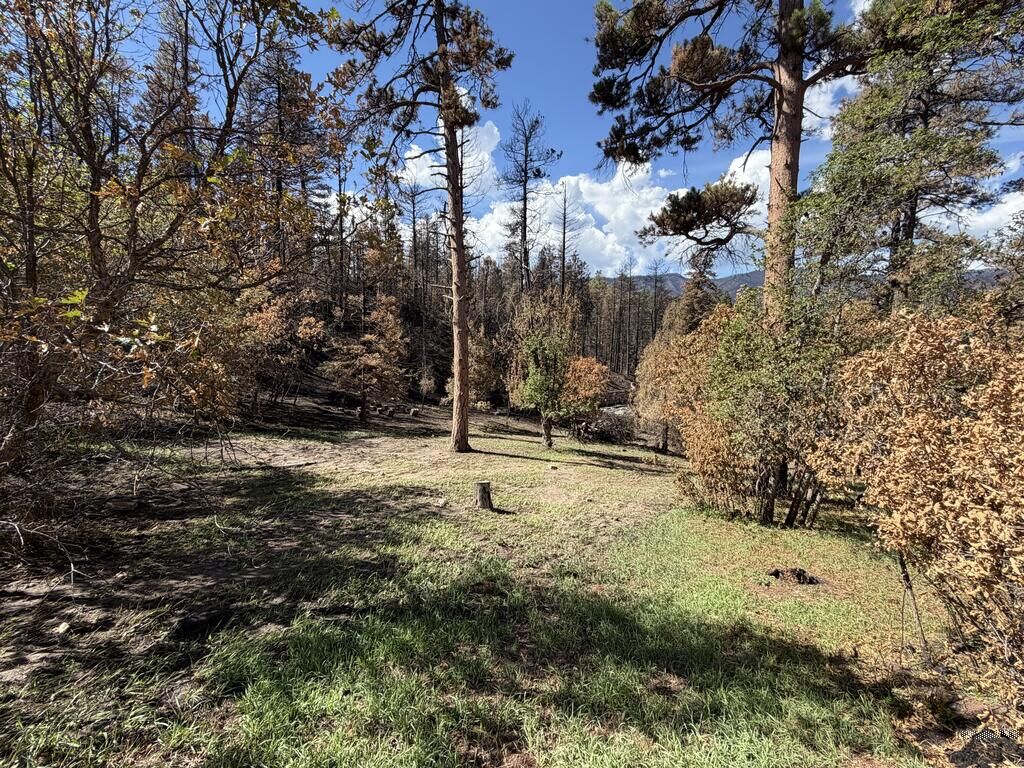 Property Photo: 8890 Ula Trail CO 81023