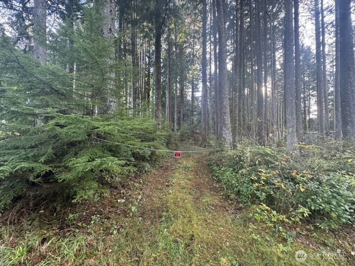Property Photo:  44  Robin Lane  WA 98571 