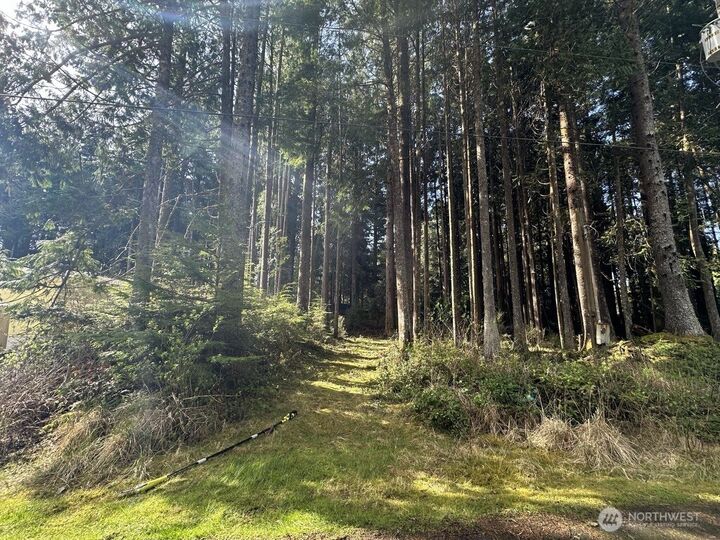 Property Photo:  44  Robin Lane  WA 98571 