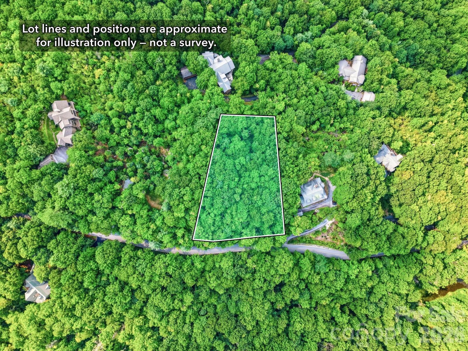 Property Photo:  L 29 Toxaway Drive  NC 28747 