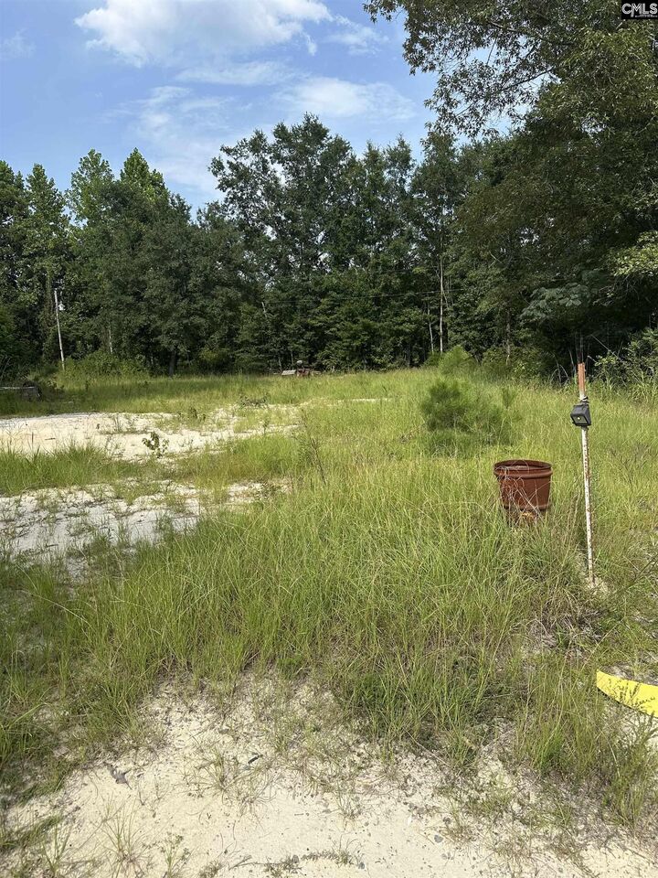 Property Photo: 1219 Goffman SC 29044