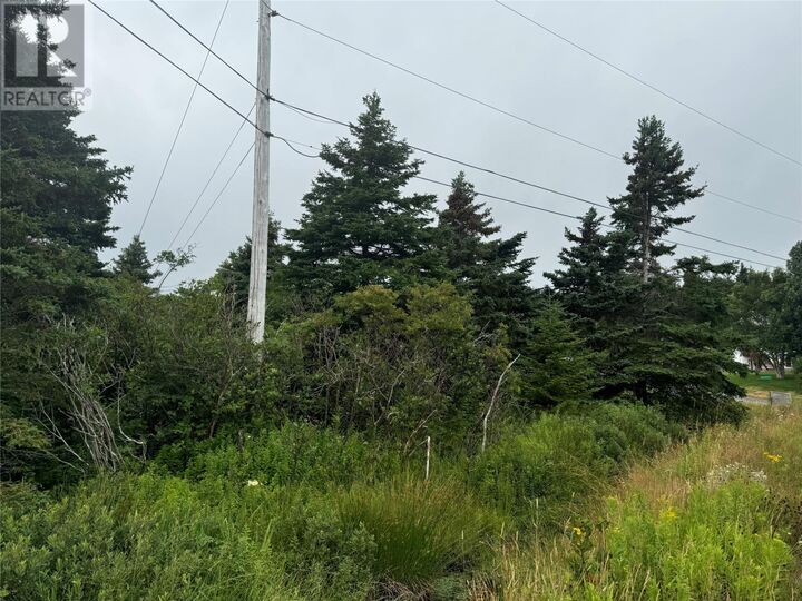 Property Photo:  17A Crowes Lane  NL A1K 1H5 
