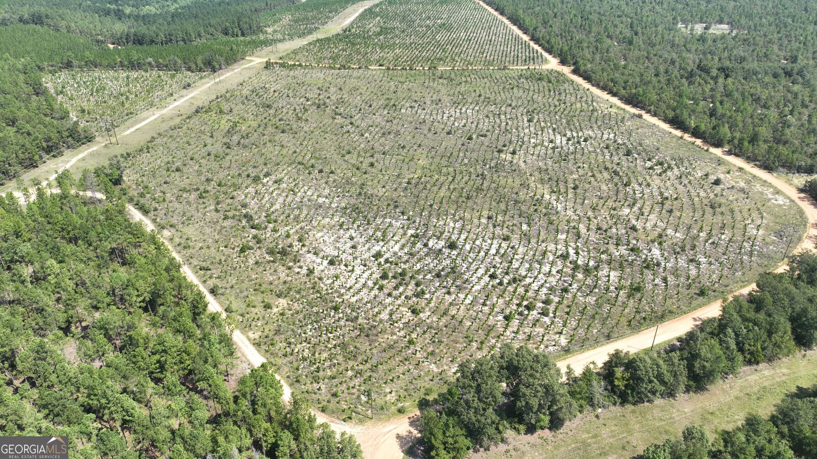 Property Photo: 0 Mt. Horeb Church Road GA 30833