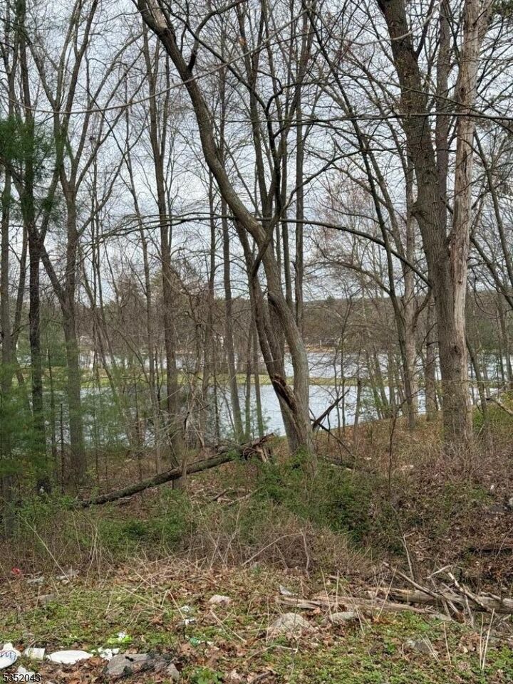 Property Photo:  232 Lake Shore  NJ 07827 