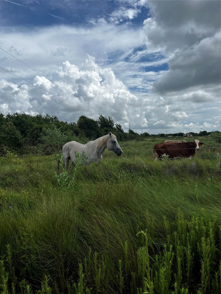 Property Photo: 0 County Road 306 TX 77422
