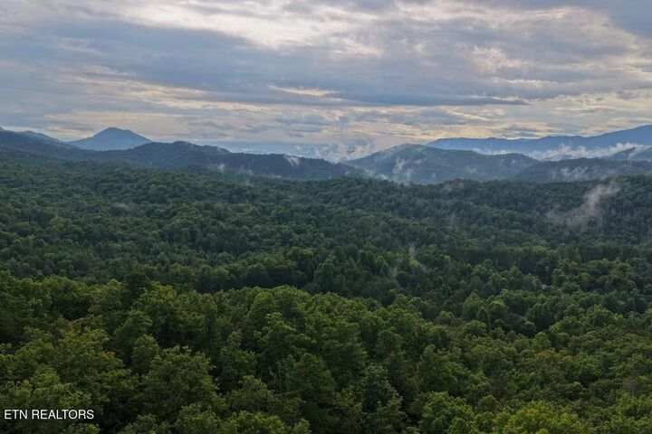 Property Photo:  Lot 26 Shady Oaks Way  TN 37876 