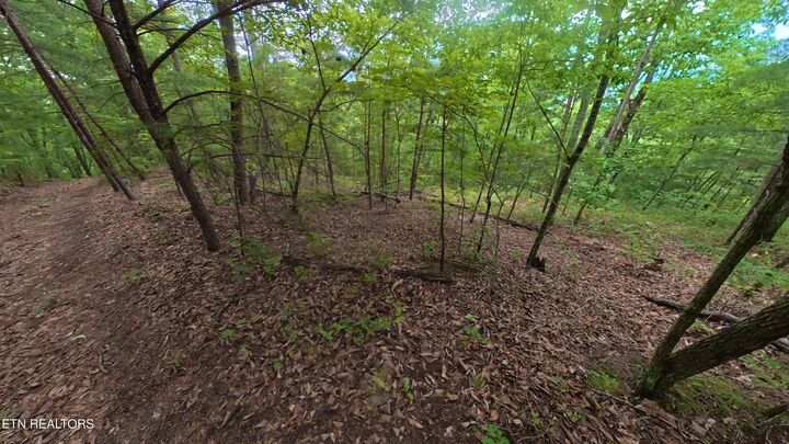 Property Photo:  Lot 43 Shady Oaks Way  TN 37876 