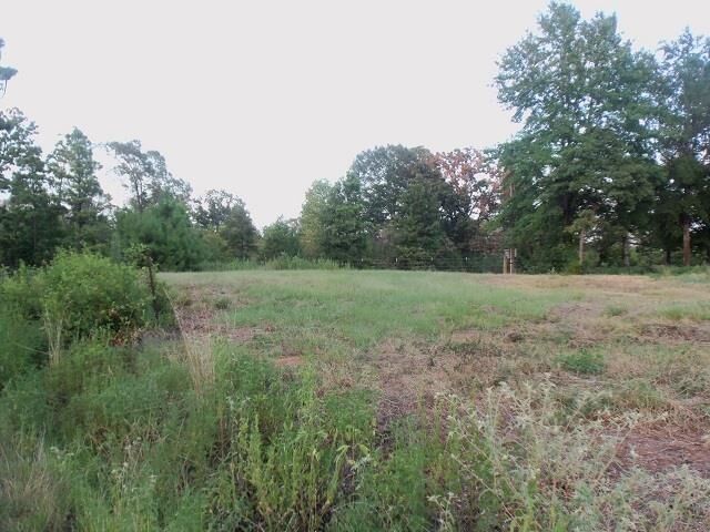 Property Photo:  Tbd Whiteside Lane Cr1127d  TX 75662 
