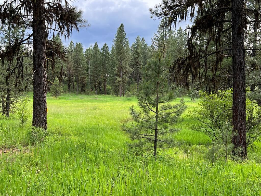 Property Photo:  Lot 7 Timber Ridge Drive  ID 83654 