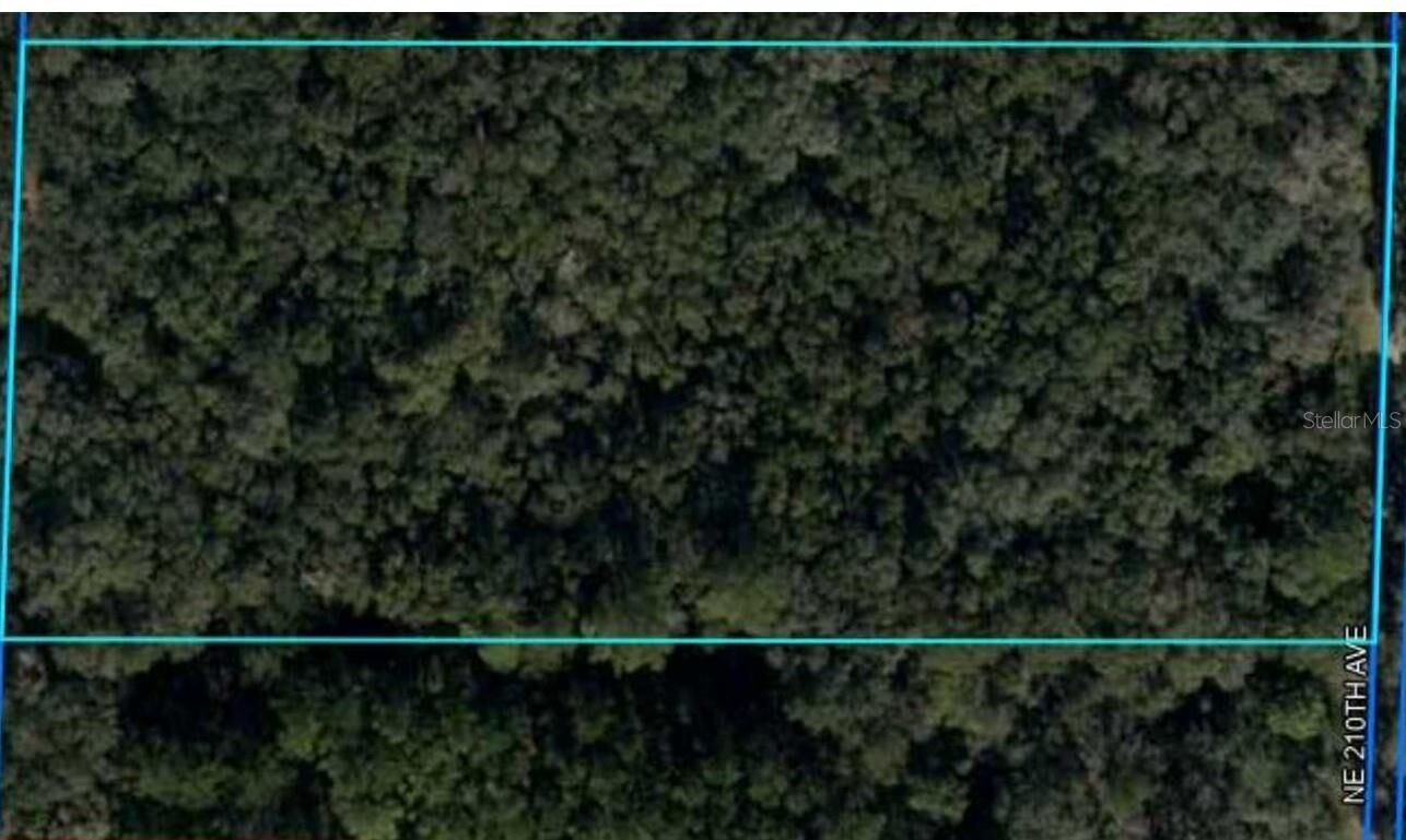 Property Photo:  NE 210th Avenue  FL 32696 