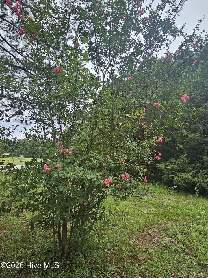 Property Photo:  23 Southfork Road  NC 28371 