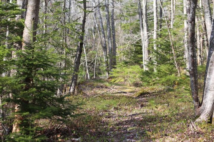 Property Photo:  Lot 5 Brooklyn Shores  NS B0J 1H0 