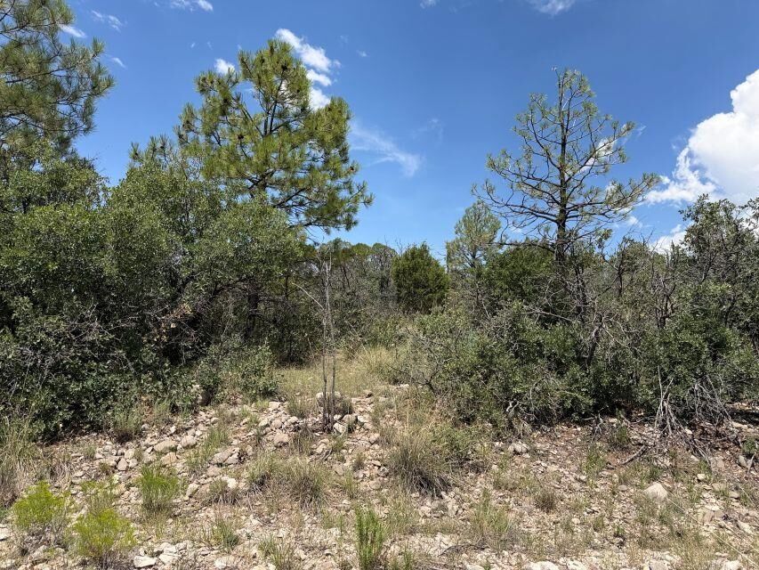 Property Photo: 44 Sunol Valley Dr NM 88350