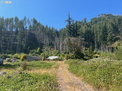 Property Photo:  49631 McKenzie Hwy  OR 97488 