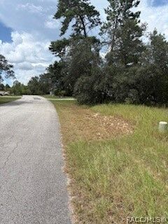 Property Photo:  20 Tall Marigolds Court  FL 34446 
