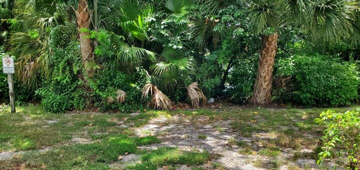Property Photo:  2303 N Congress Avenue  FL 33426 