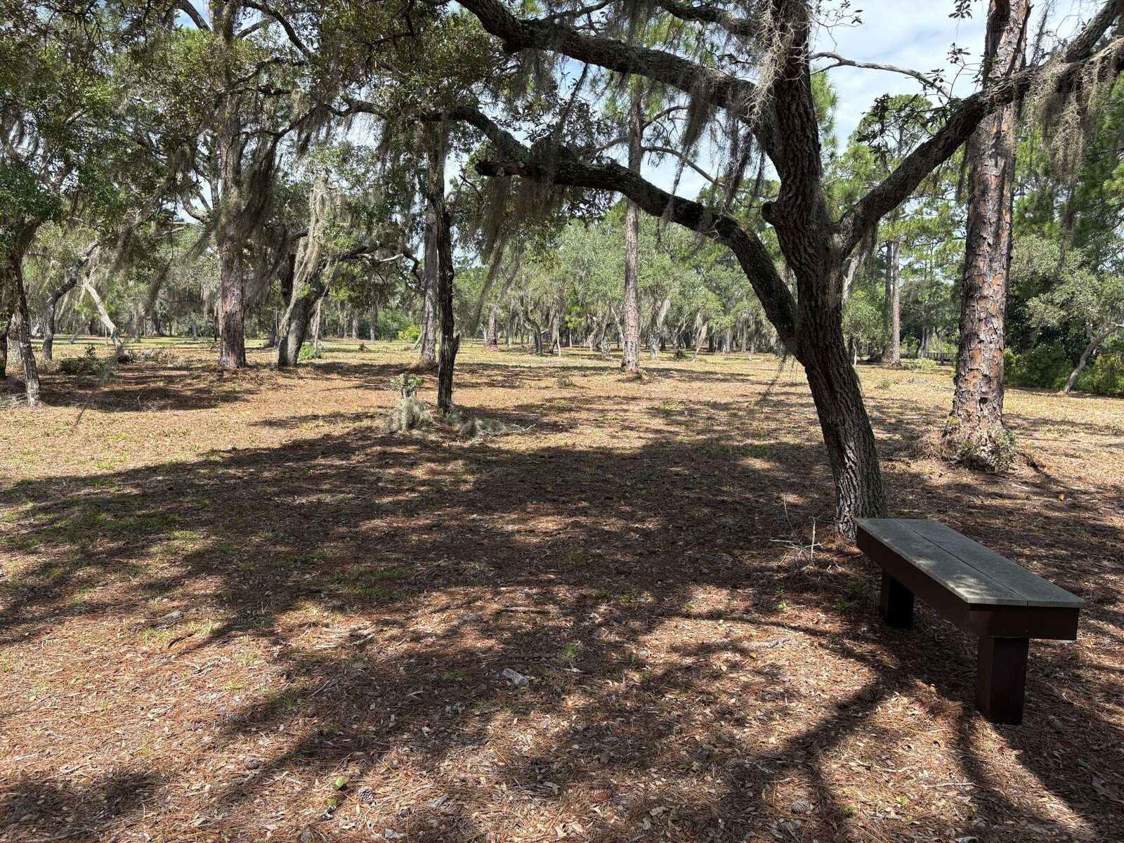 Property Photo: Xxxx Rainey Trail Trail FL 32346