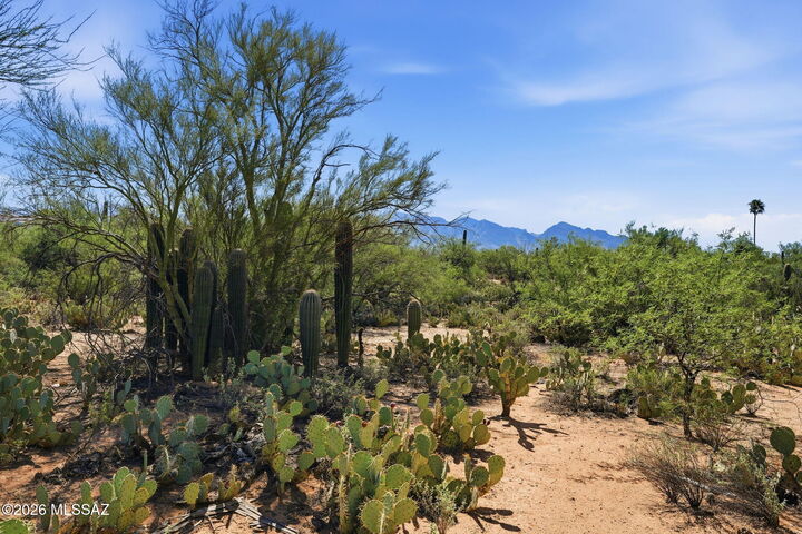 Property Photo:  12680 N Caminito Al Sol  AZ 85755 