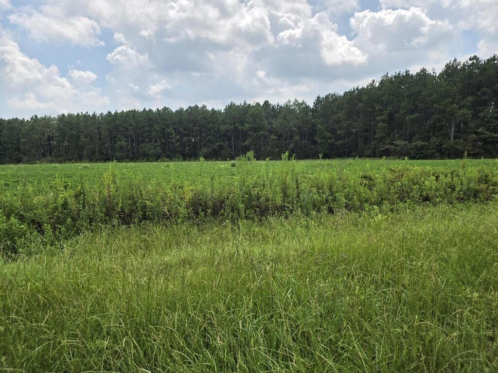 Property Photo:  0 Roy And Blanche Hulett Road  GA 31750 