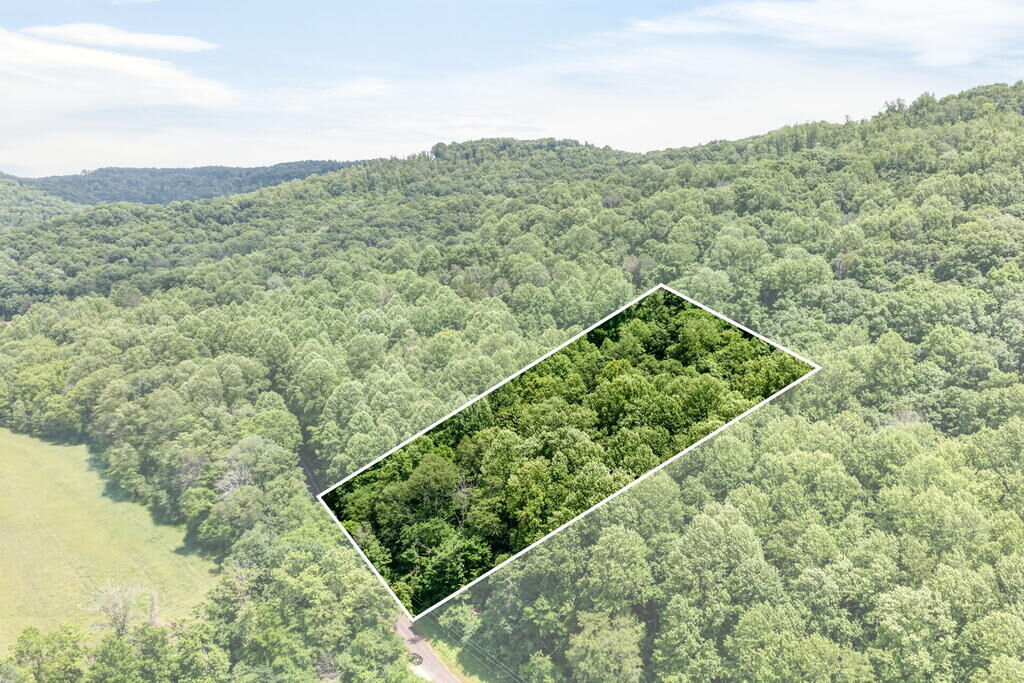Property Photo:  1088 Lee Hollow Rd  TN 38583 