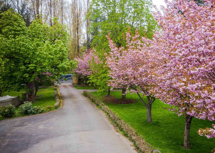 Property Photo:  462 248 Street  BC V4W 2H2 