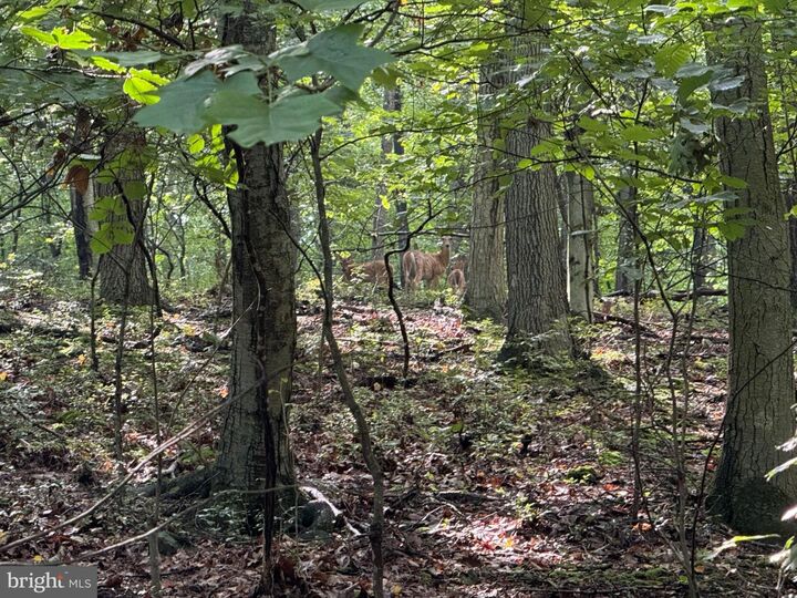 Property Photo: 2091 Welsh Road PA 19540