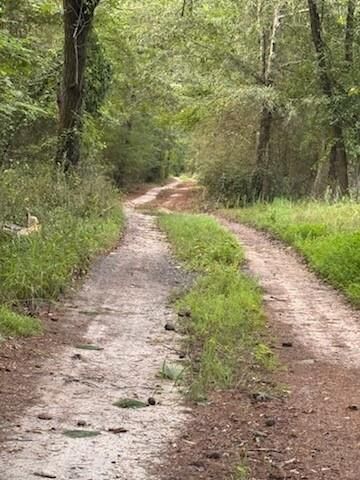 Property Photo:  184 McBride Road  GA 30215 