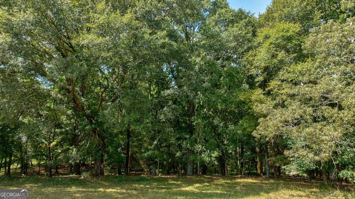 Property Photo:  1160 Middlebrooks Road  GA 30677 