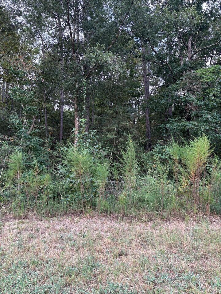 Property Photo:  15223 Forest Grove Drive  TX 77378 