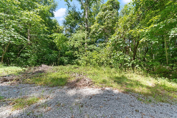 Property Photo: 0000 Bill Dee Br Road KY 41862