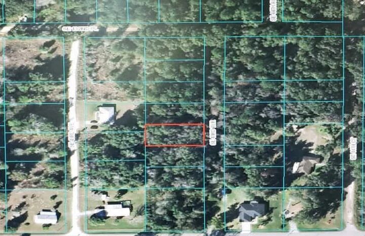 Property Photo:  SE 43rd Terrace  FL 34420 