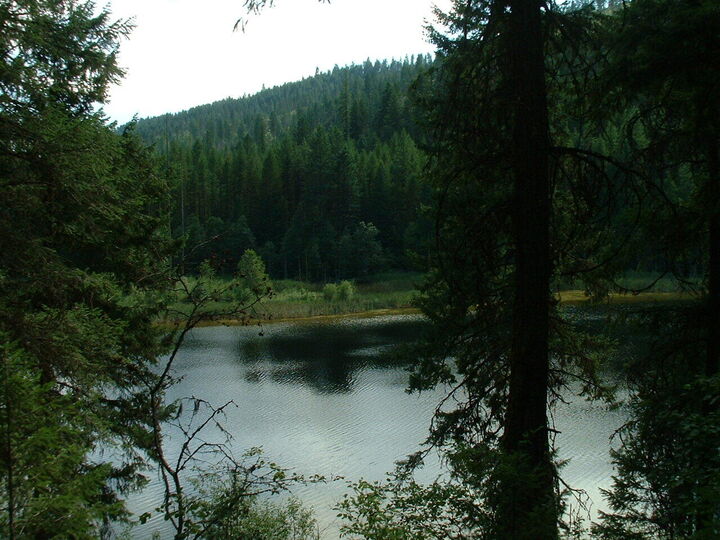 Property Photo:  49xx Sheep Creek Rd  WA 99157 