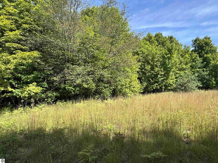 Property Photo: 000 S Garfield Road MI 49696