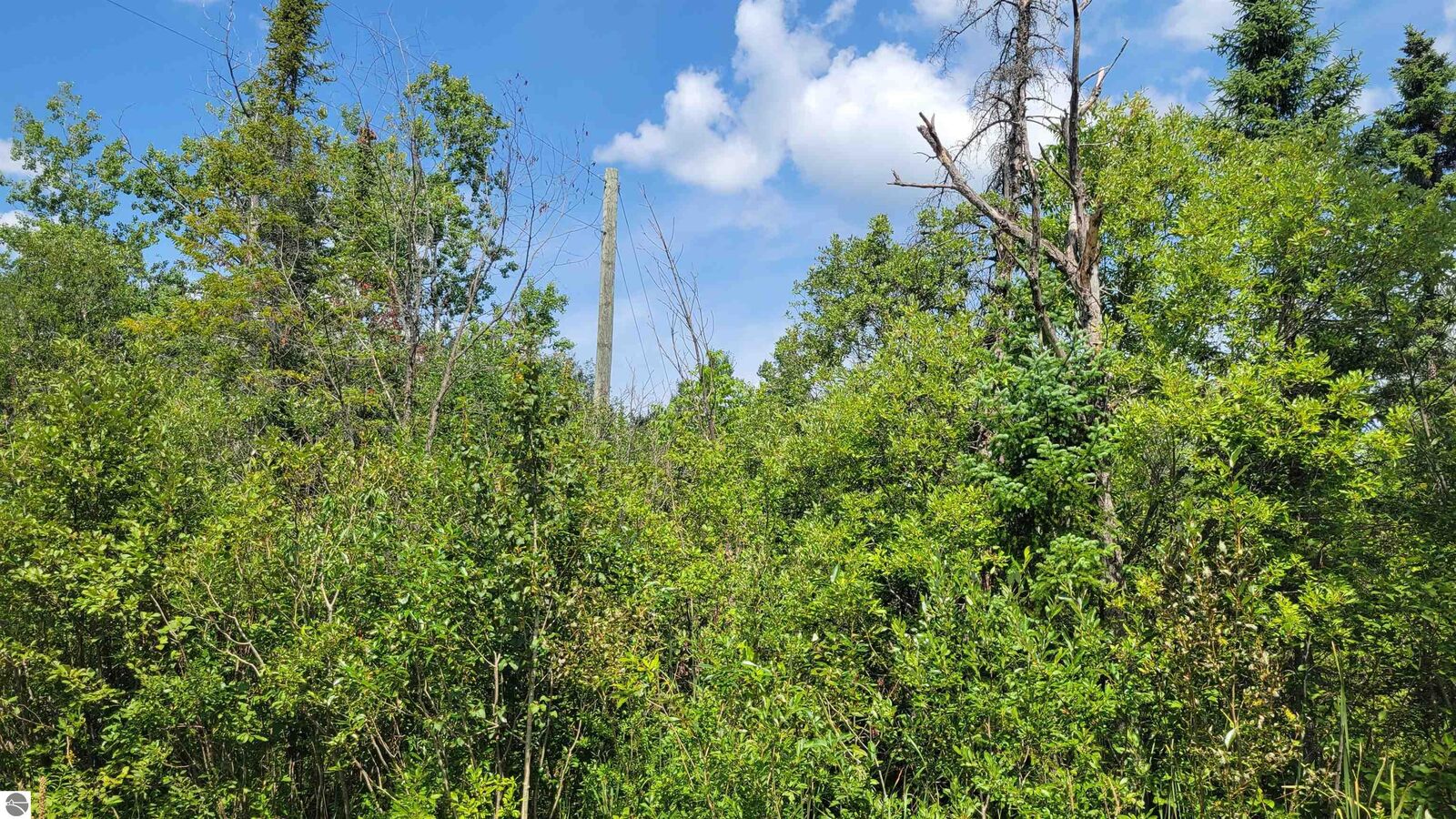 Property Photo: 15225 Lakeview Drive MI 49799