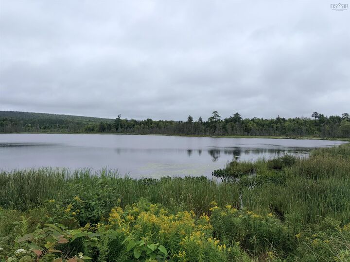 Property Photo:  . Intervale Road  NS B1K 1T9 