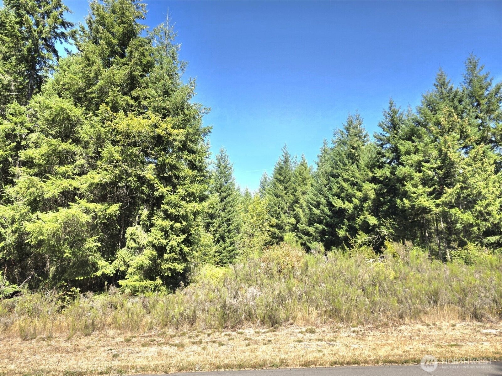Property Photo: 19710 146th Avenue SE WA 98597