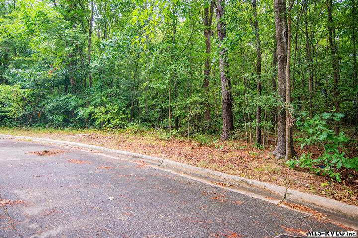 Property Photo:  Lot # 12 Downs Brook Dr  NC 27870 