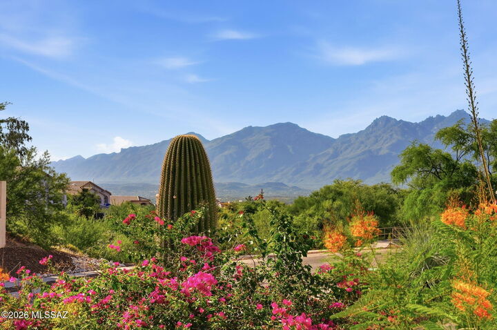 Property Photo:  217 S Nightfall Avenue  AZ 85748 