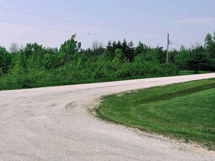 Property Photo:  121 Robertson Avenue  ON N4L 1W7 