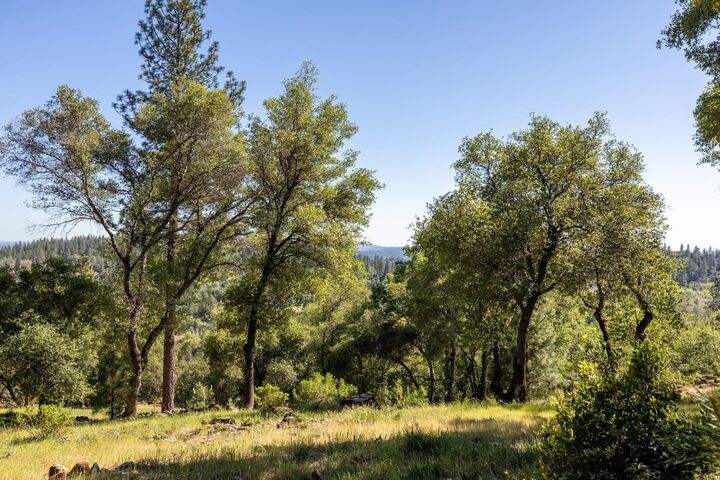 Property Photo: 1235 Forest View Drive CA 95722