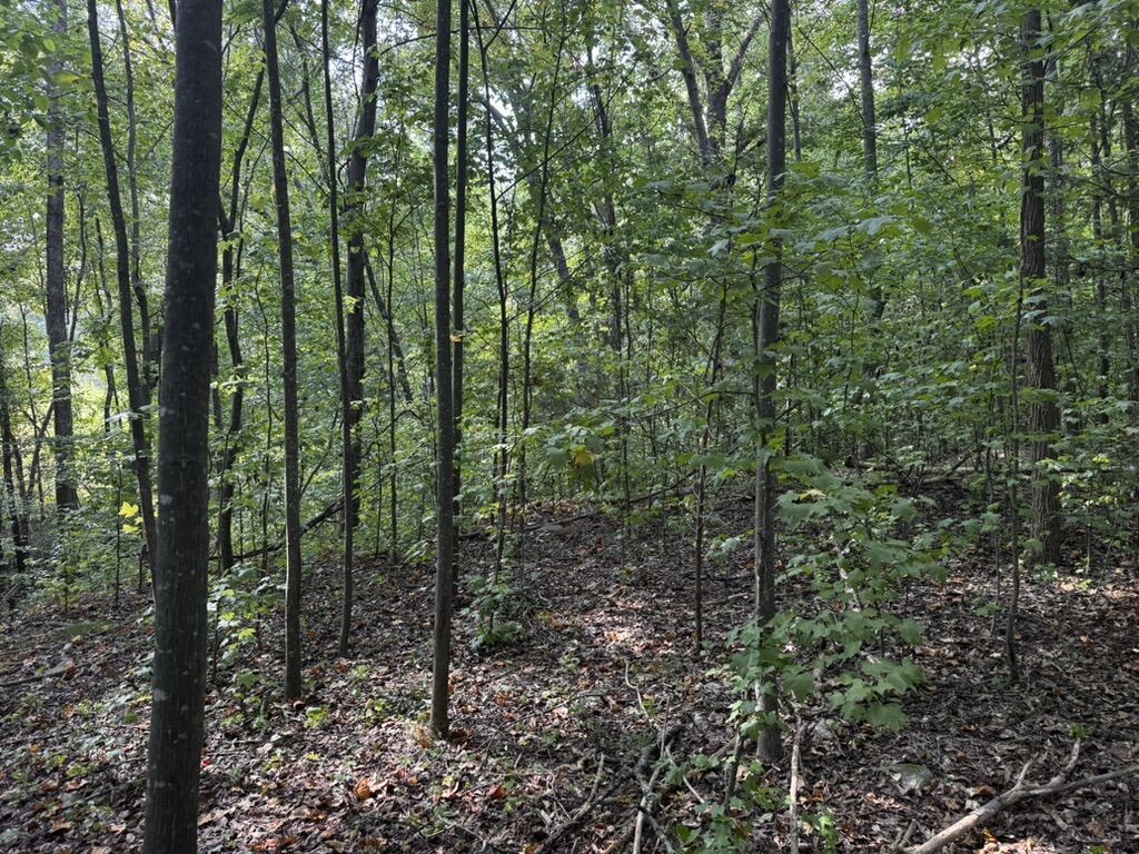 Property Photo:  1146 Little Mountain Road  SC 29626 