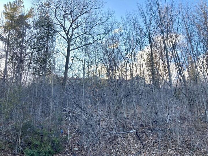 Property Photo:  02 Woodcliff Drive  NY 12901 