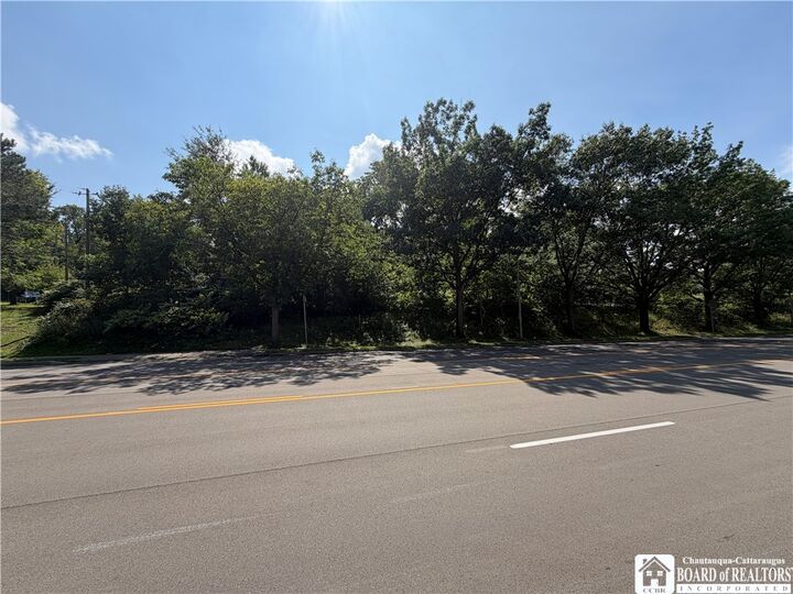 Property Photo:  Washington Street  NY 14701 