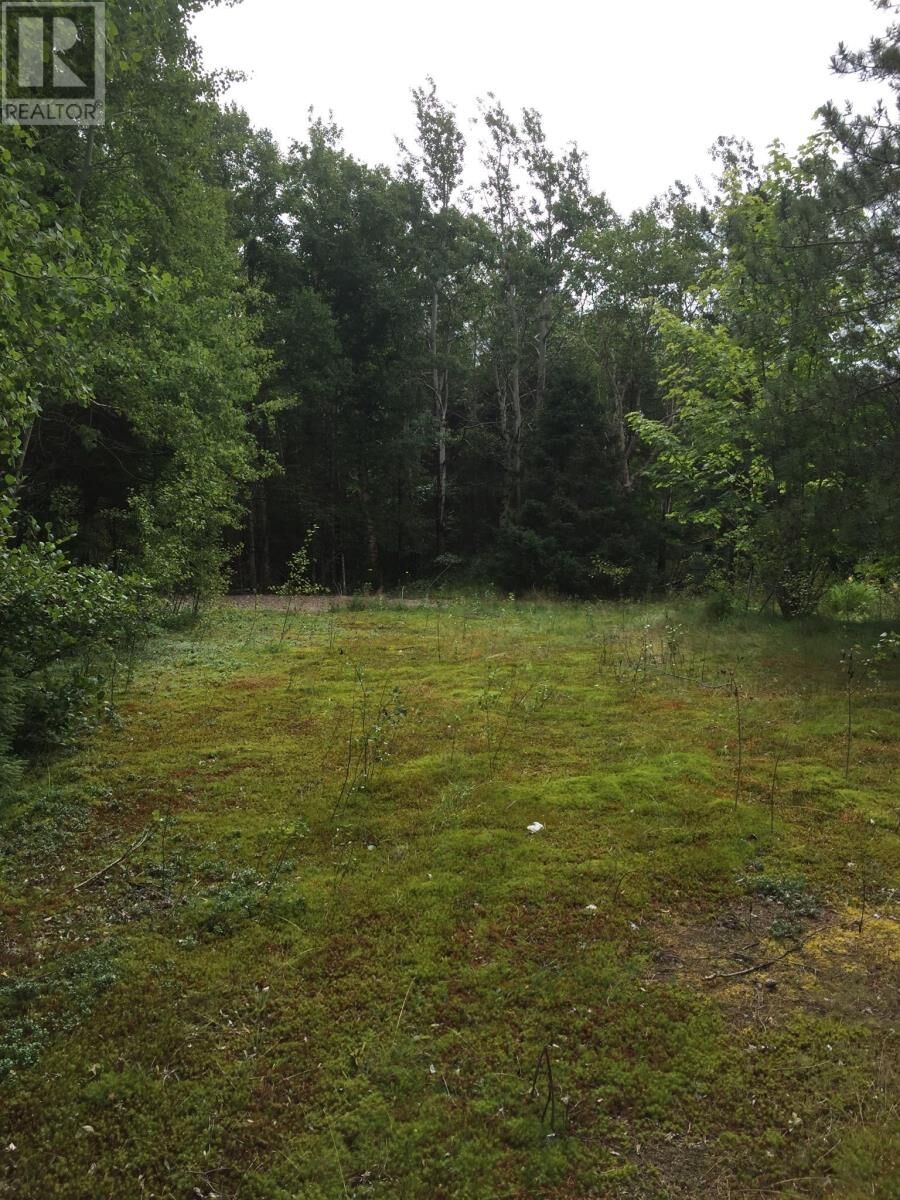 Property Photo:  17 Leggetter's Lane  NL A0G 1Z0 